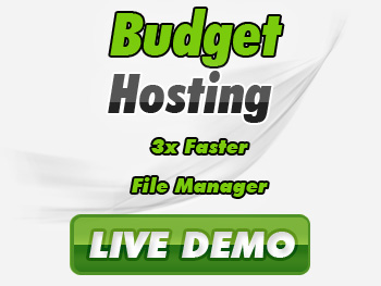 Website Hosting